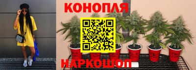 стаф Обнинск