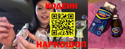 индика Обь