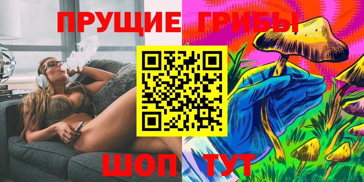 Псилоцибиновые грибы Psilocybe  Вход с VPN  Солнечногорск 